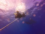 Hawaii Scuba divng 01