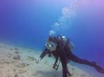 Hawaii Scuba divng 26