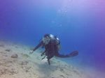 Hawaii Scuba divng 27