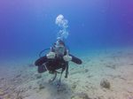 Hawaii Scuba divng 29