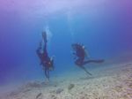 Hawaii Scuba divng 35