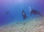 Hawaii Scuba divng 36