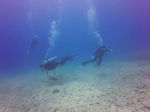 Hawaii Scuba divng 37