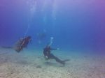 Hawaii Scuba divng 38