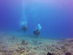 Hawaii Scuba divng 40