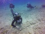 Hawaii Scuba divng 41