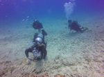 Hawaii Scuba divng 42