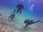 Hawaii Scuba divng 44