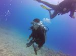 Hawaii Scuba divng 45