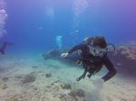 Hawaii Scuba divng 47