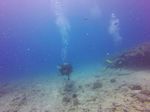 Hawaii Scuba divng 48