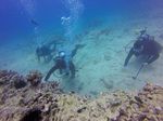 Hawaii Scuba divng 49