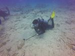 Hawaii Scuba divng 51