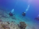 Hawaii Scuba divng 51