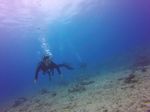 Hawaii Scuba divng 58