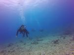 Hawaii Scuba divng 59