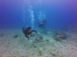 Hawaii Scuba divng 62