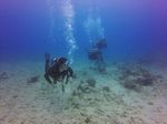 Hawaii Scuba divng 63