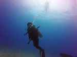 Hawaii Scuba divng 64