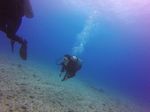 Hawaii Scuba divng 65