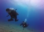 Hawaii Scuba divng 66