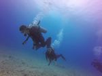 Hawaii Scuba divng 67