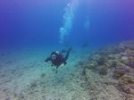 Hawaii Scuba divng 69