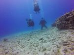 Hawaii Scuba divng 72