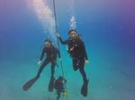 Hawaii Scuba divng 78