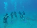 Hawaii Scuba divng 11