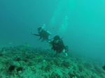 Hawaii Scuba divng 15