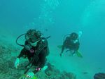 Hawaii Scuba divng 18