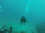 Hawaii Scuba divng 19