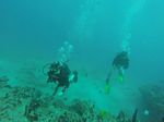 Hawaii Scuba divng 22