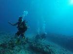 Hawaii Scuba divng 24