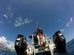 Hawaii Scuba divng 26