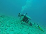 Hawaii Scuba divng 29