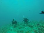 Hawaii Scuba divng 02