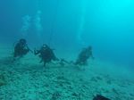 Hawaii Scuba divng 33