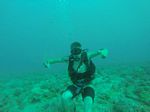 Hawaii Scuba divng 03