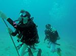 Hawaii Scuba divng 40