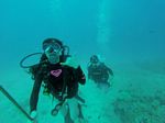 Hawaii Scuba divng 41