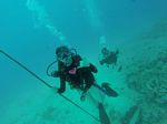 Hawaii Scuba divng 43