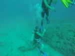 Hawaii Scuba divng 45
