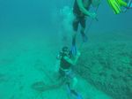 Hawaii Scuba divng 45