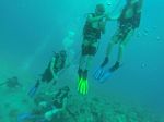 Hawaii Scuba divng 47