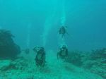 Hawaii Scuba divng 49