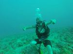 Hawaii Scuba divng 04