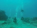 Hawaii Scuba divng 51