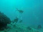 Hawaii Scuba divng 51